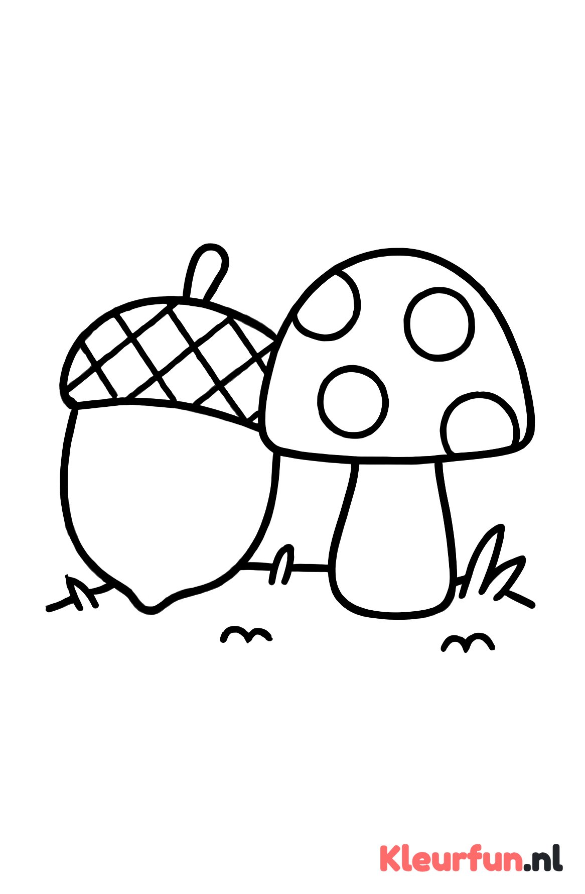 Grote eikel en paddenstoel