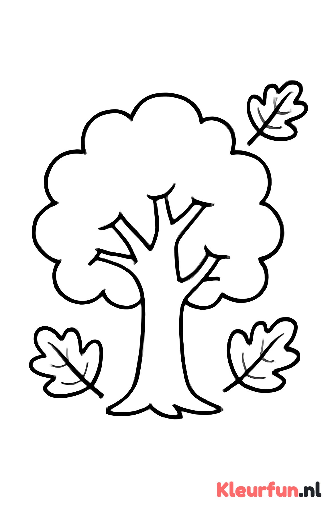 Grote eikelboom met bladeren