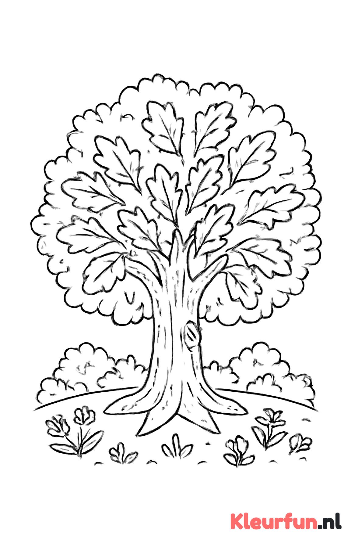 Grote eikenboom met struiken