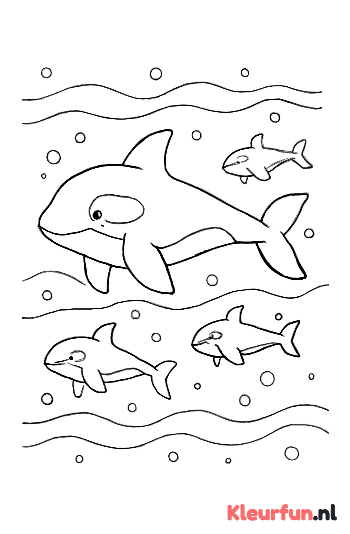 Grote en kleine orka's onder water