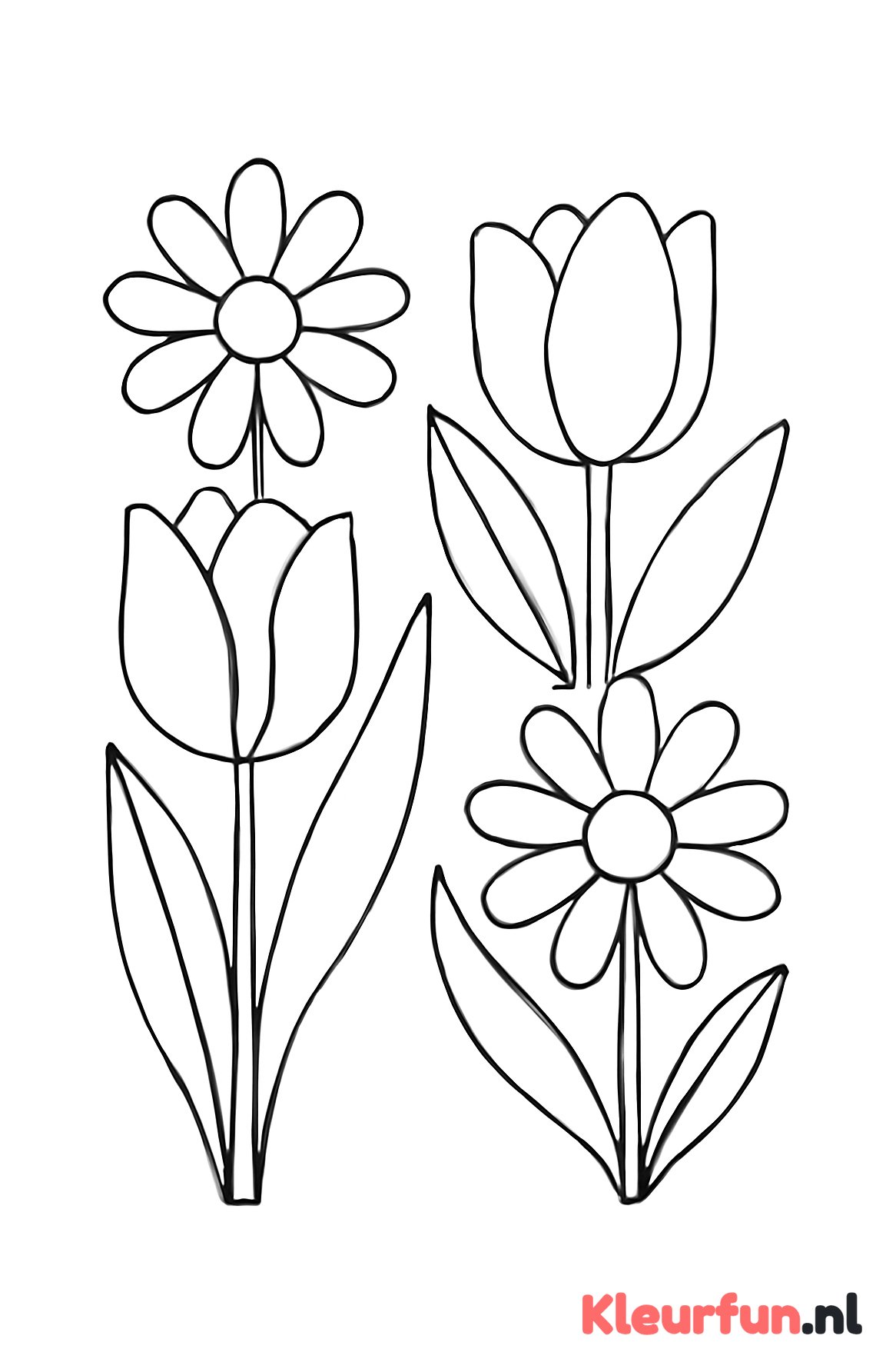 Grote enkele bloemen