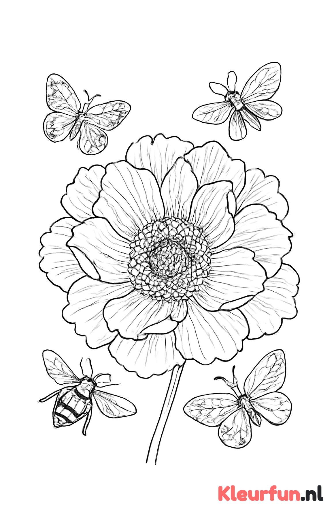 Grote gedetailleerde bloem met insecten