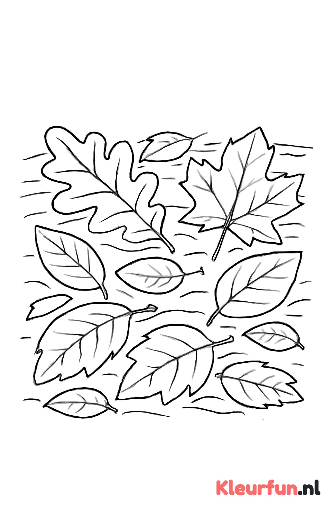 Grote herfstbladeren op de bodem