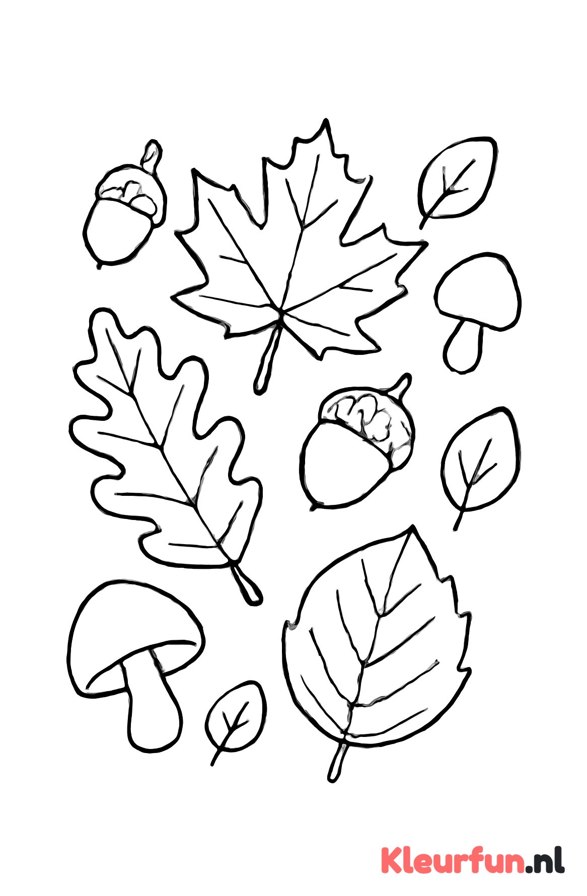 Grote herfstbladeren met eikels