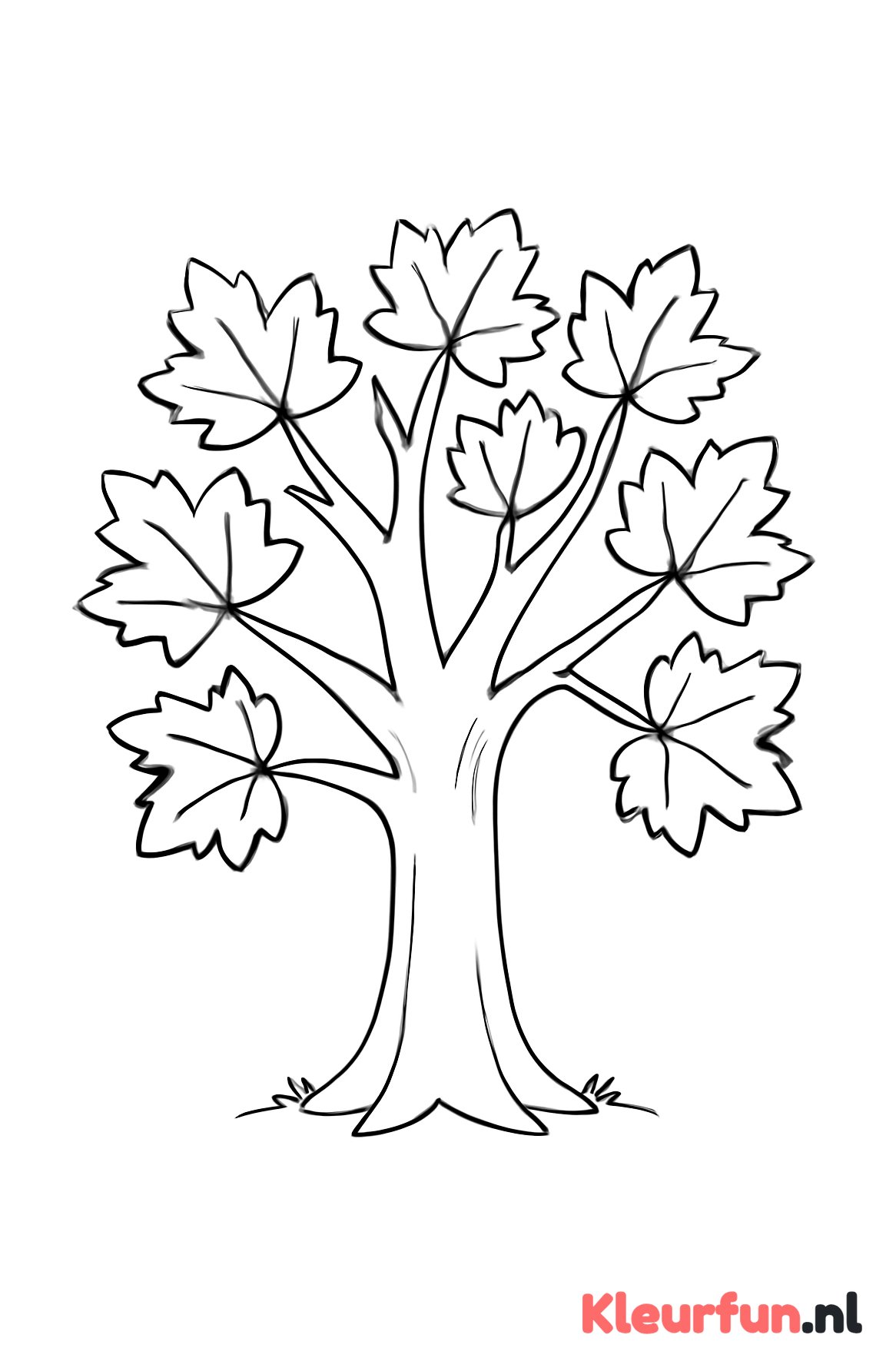 Grote herfstboom met grote bladeren