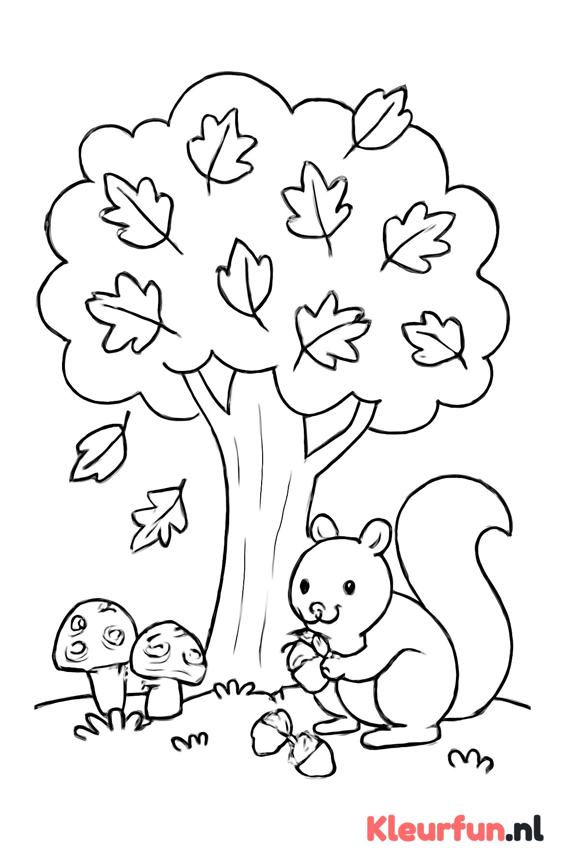 Grote herfstboom met eekhoorn