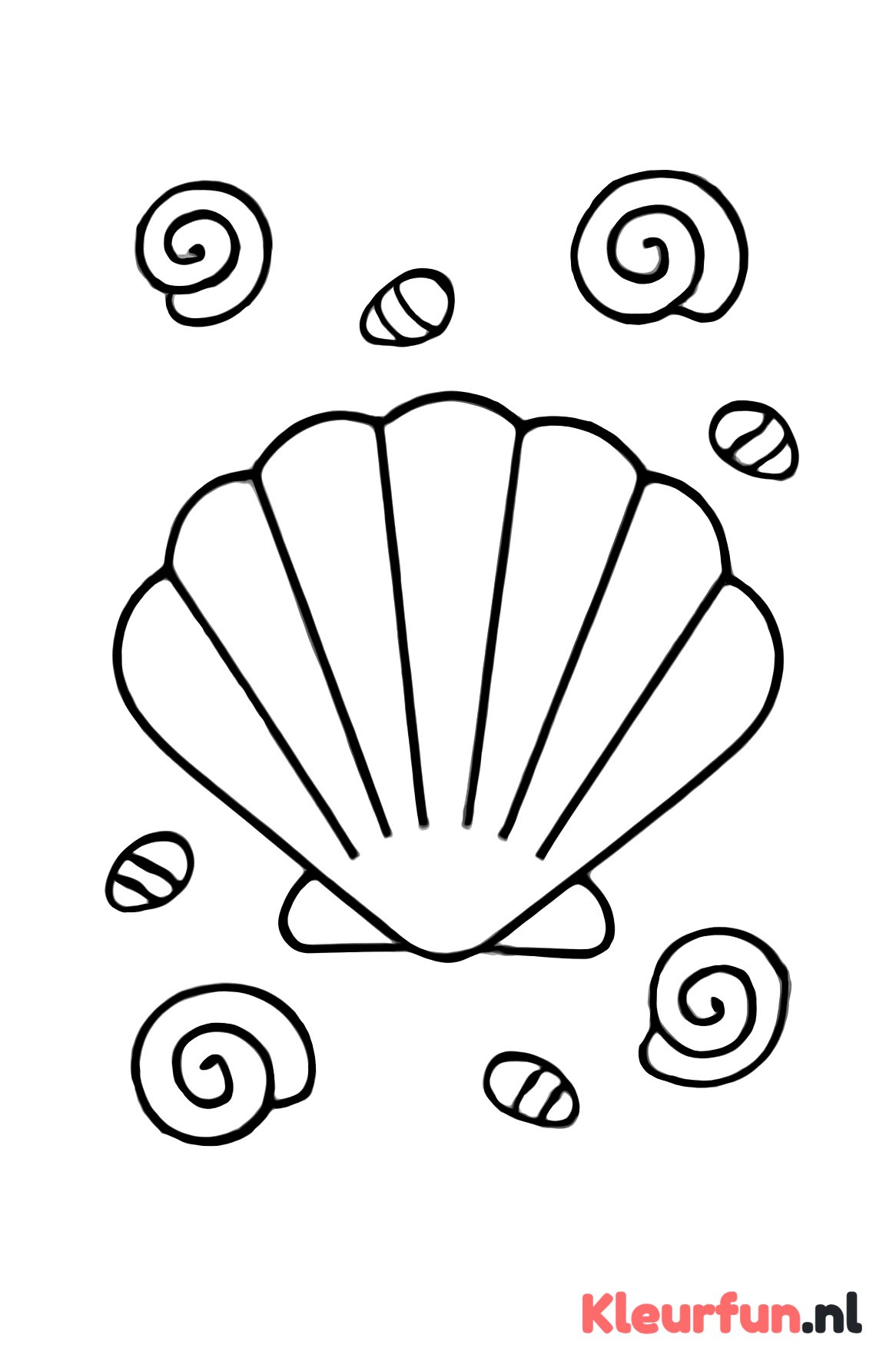 Grote en kleine schelpen