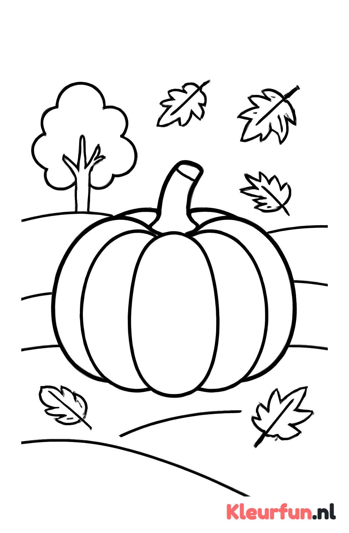 Grote pompoen op herfstveld