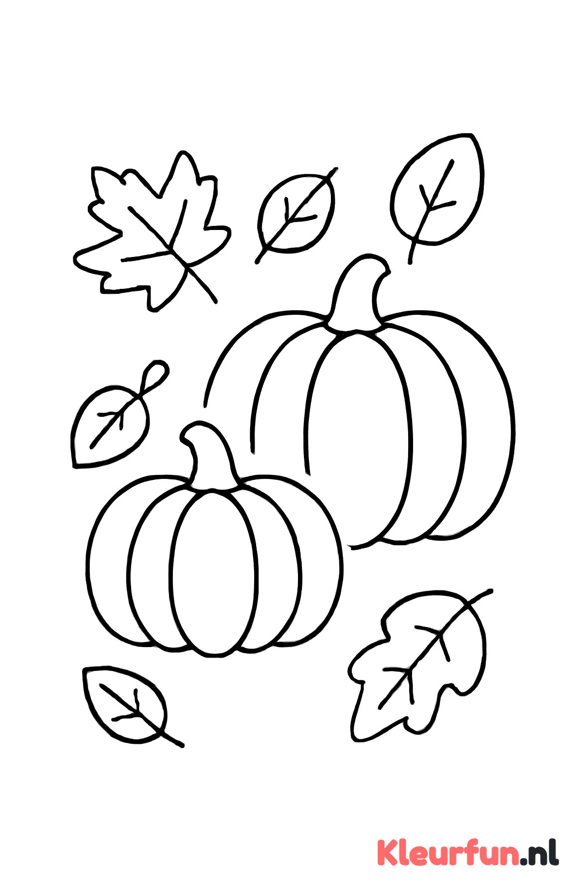 Grote pompoenen in de herfst