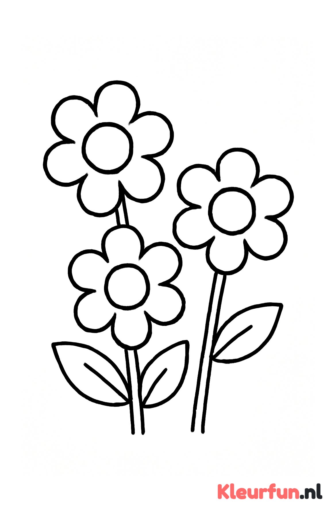 Grote ronde bloemetjes