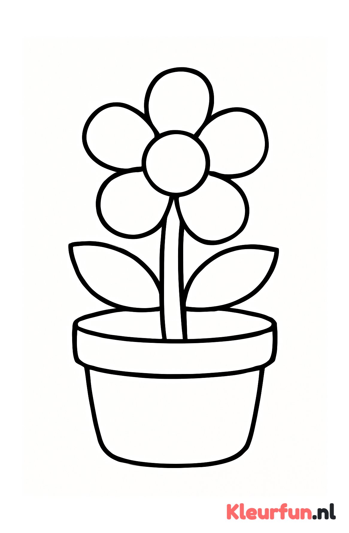 Grote ronde bloempot met één bloem