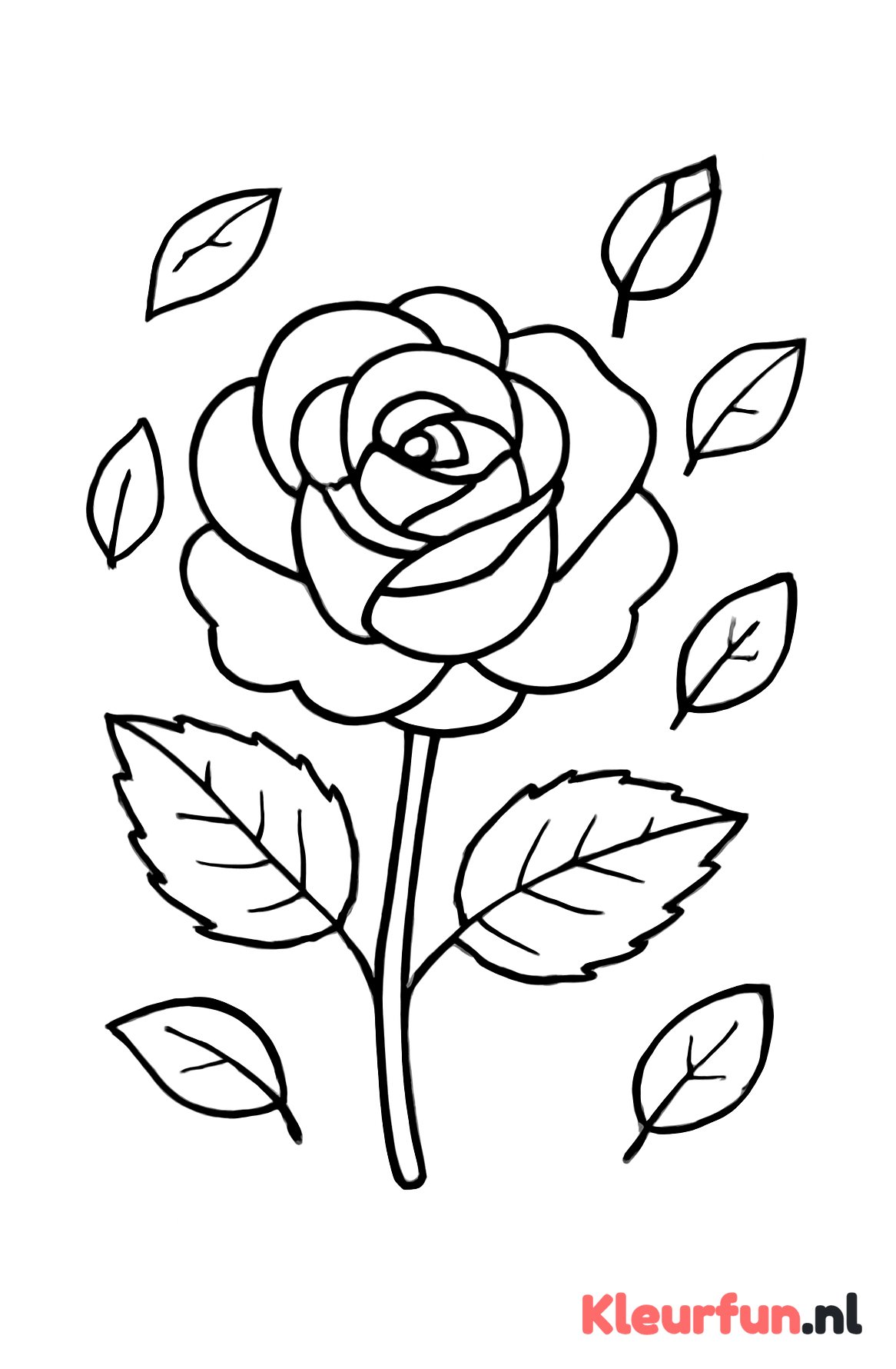 Grote roos met bloemknoppen