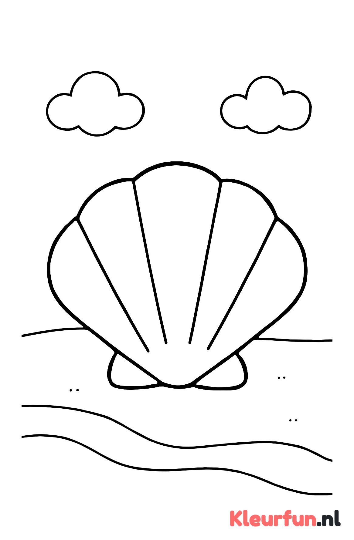 Grote eenvoudige schelp