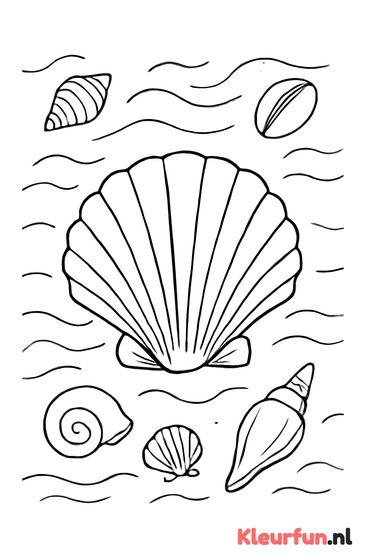 Grote schelp met kleine schelpen