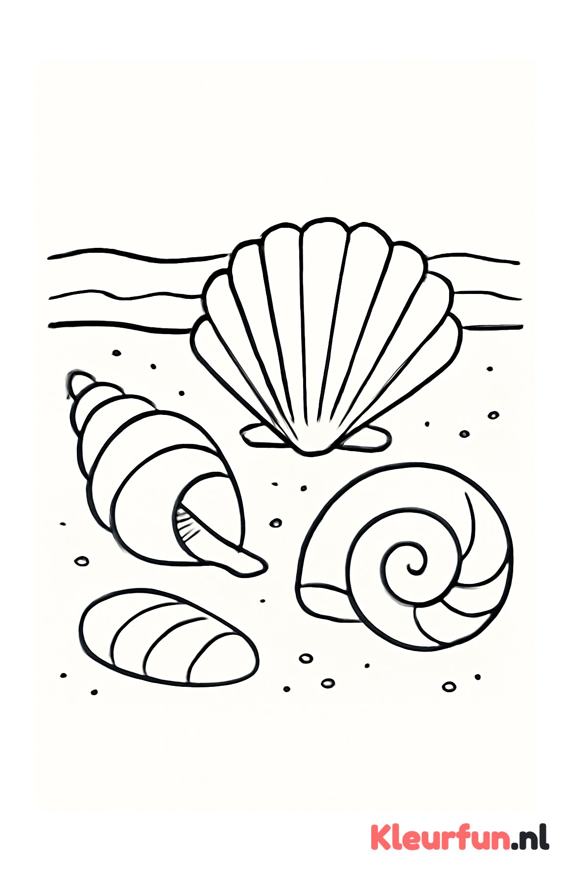 Grote schelpen op het strand