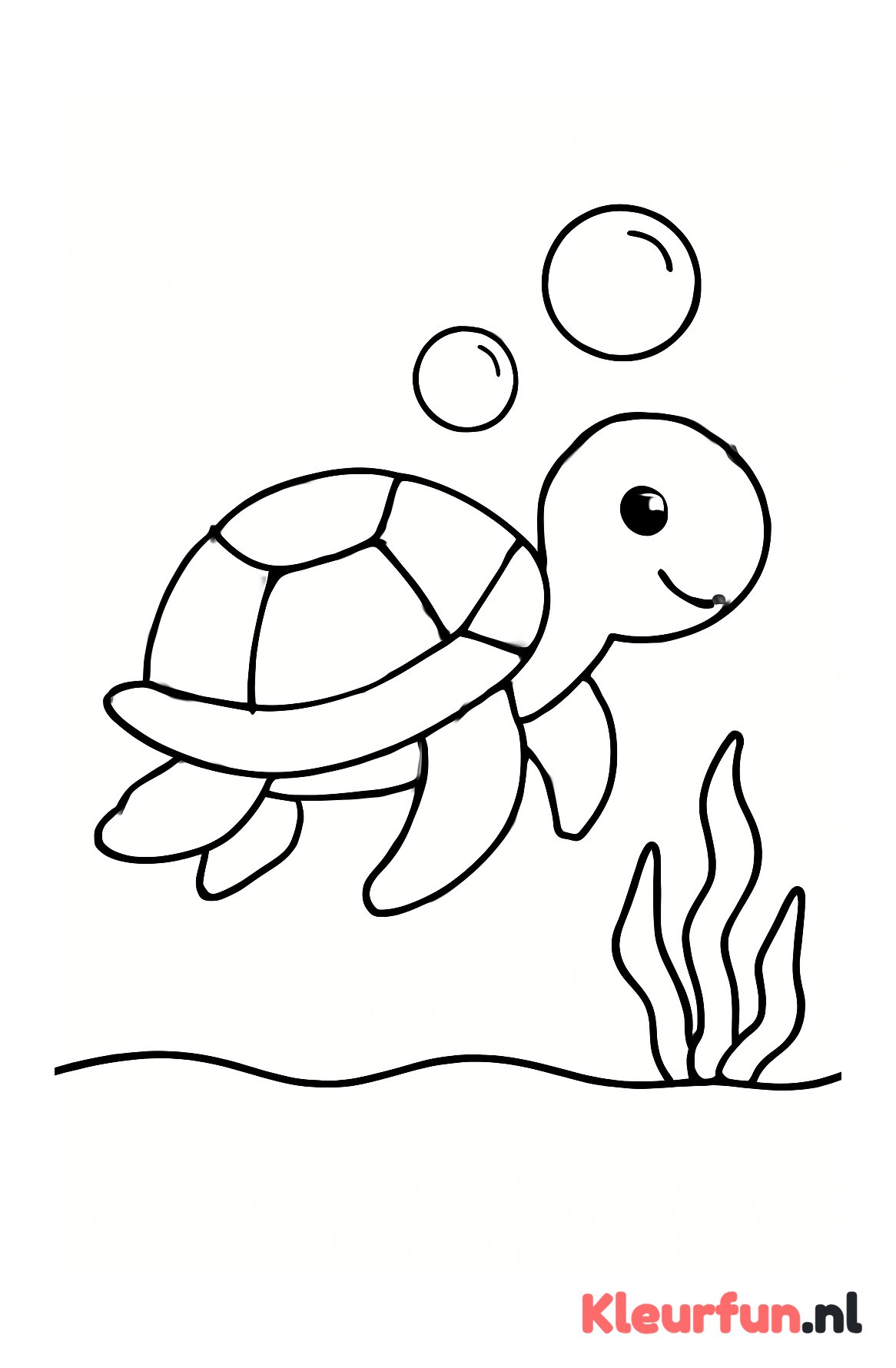 Grote schildpad met bubbels