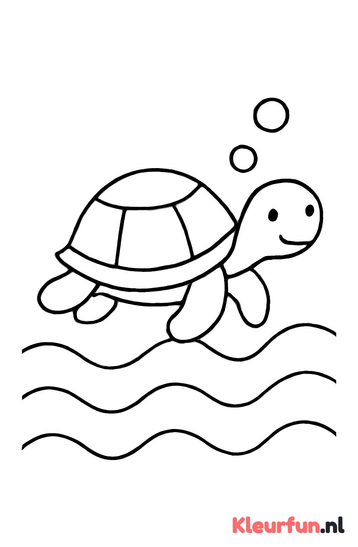 Grote schildpad met bubbels