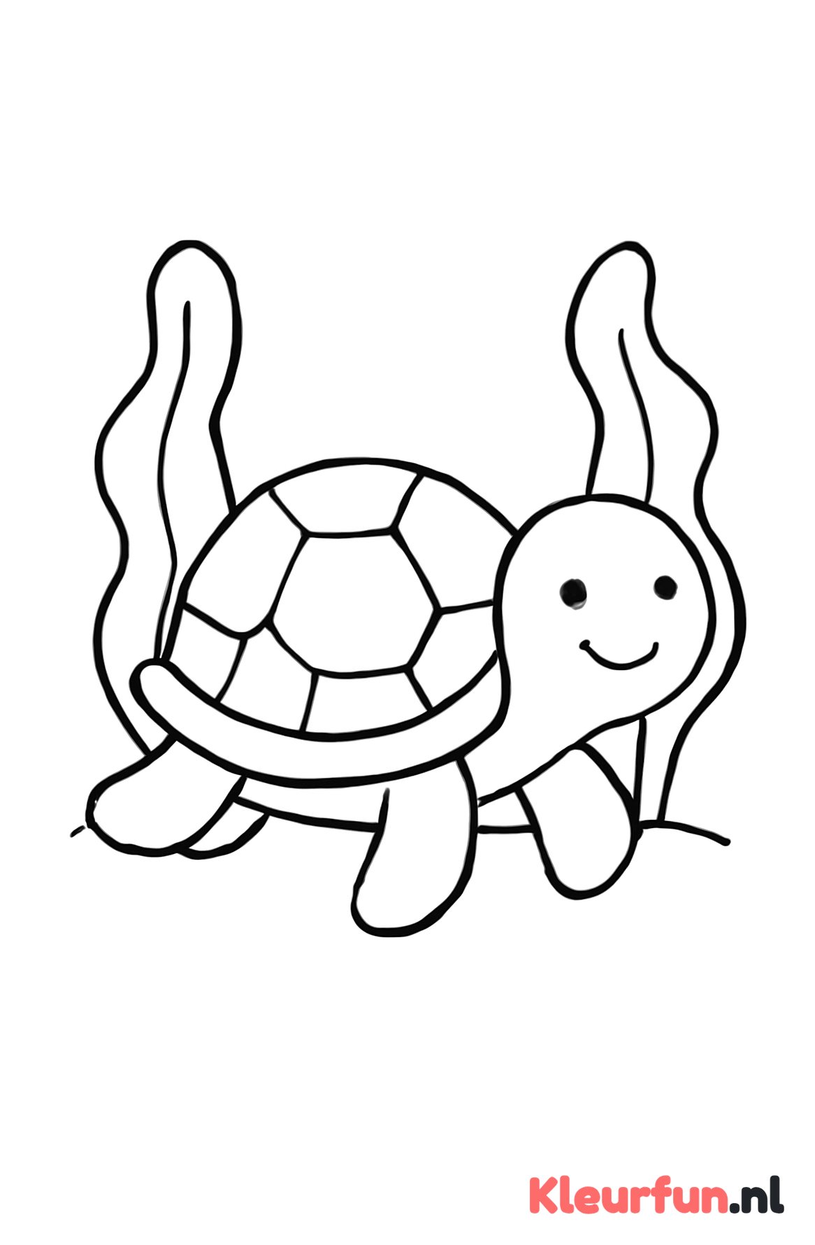 Grote schildpad en zeewier
