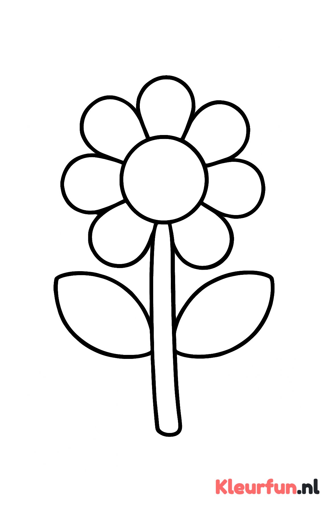 Grote simpele bloem met dikke bladeren