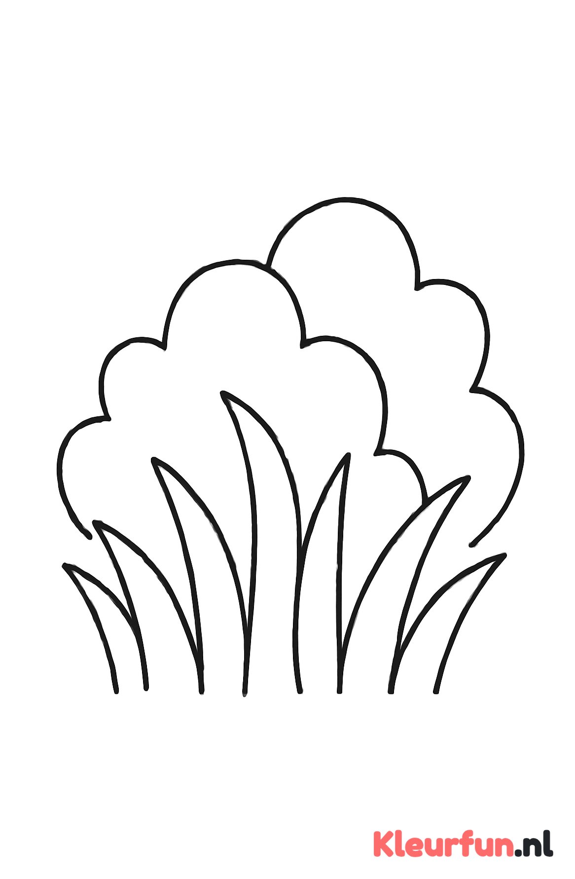 Grote struiken met hoog gras