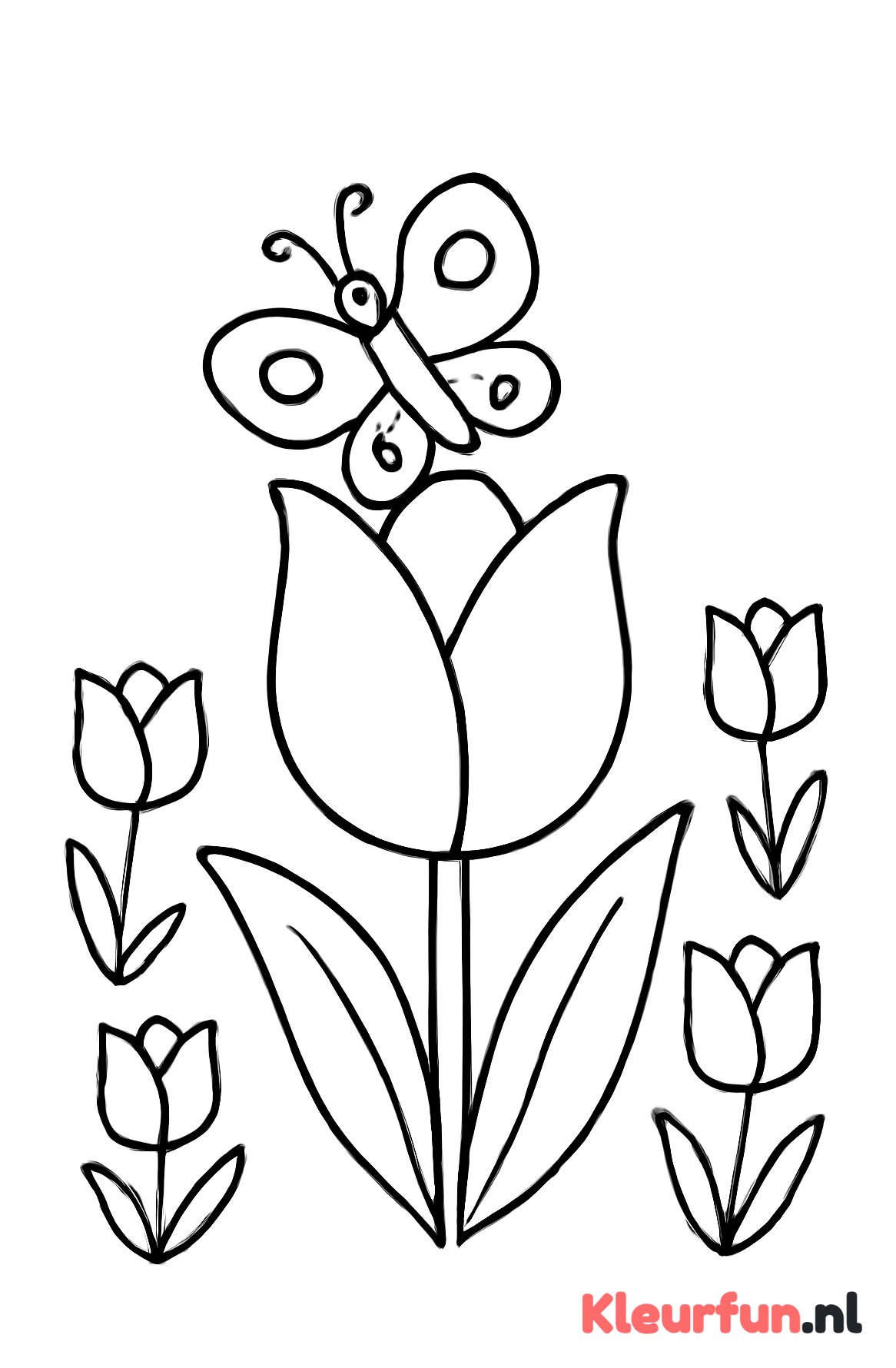 Grote tulp met vlinder