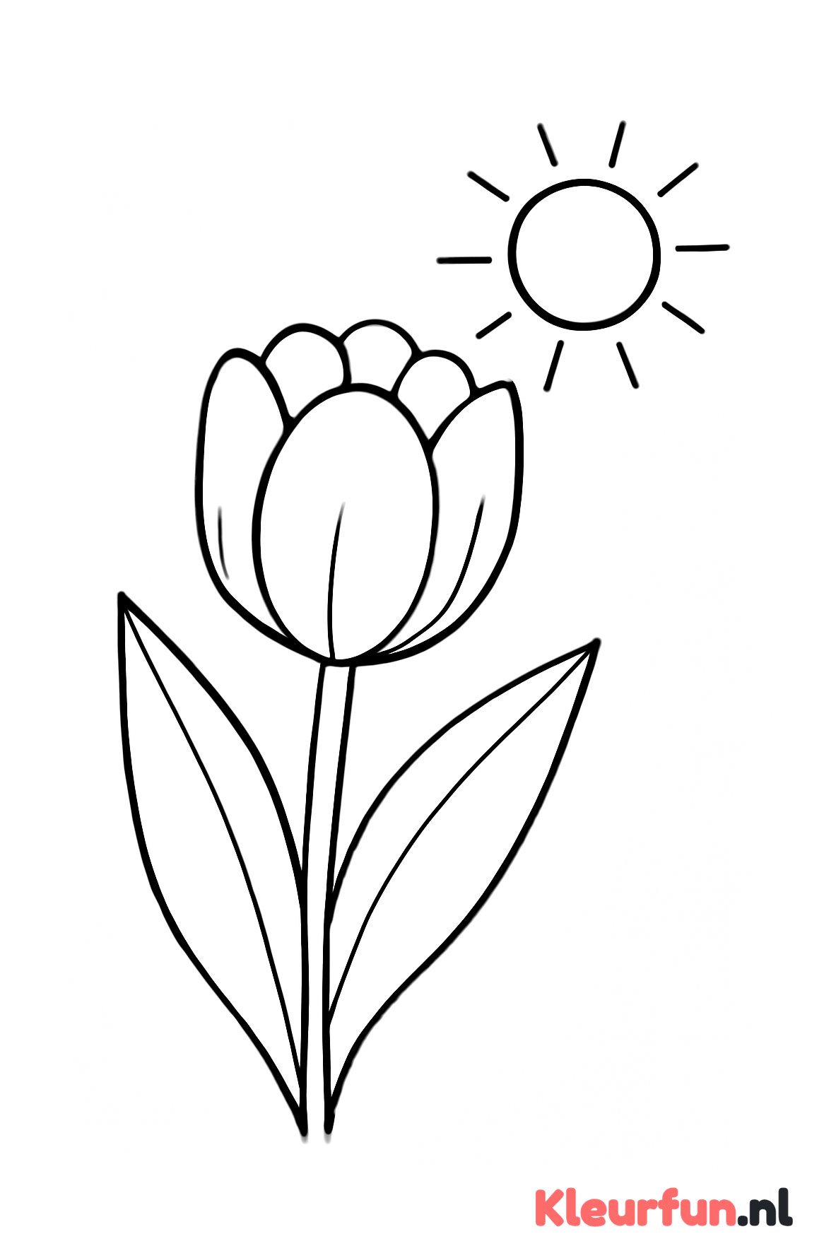 Grote tulp met zon