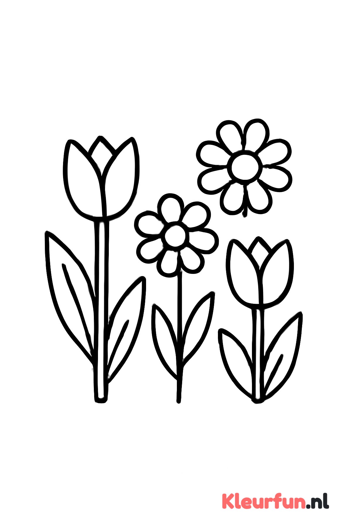 Grote voorjaarsbloemen