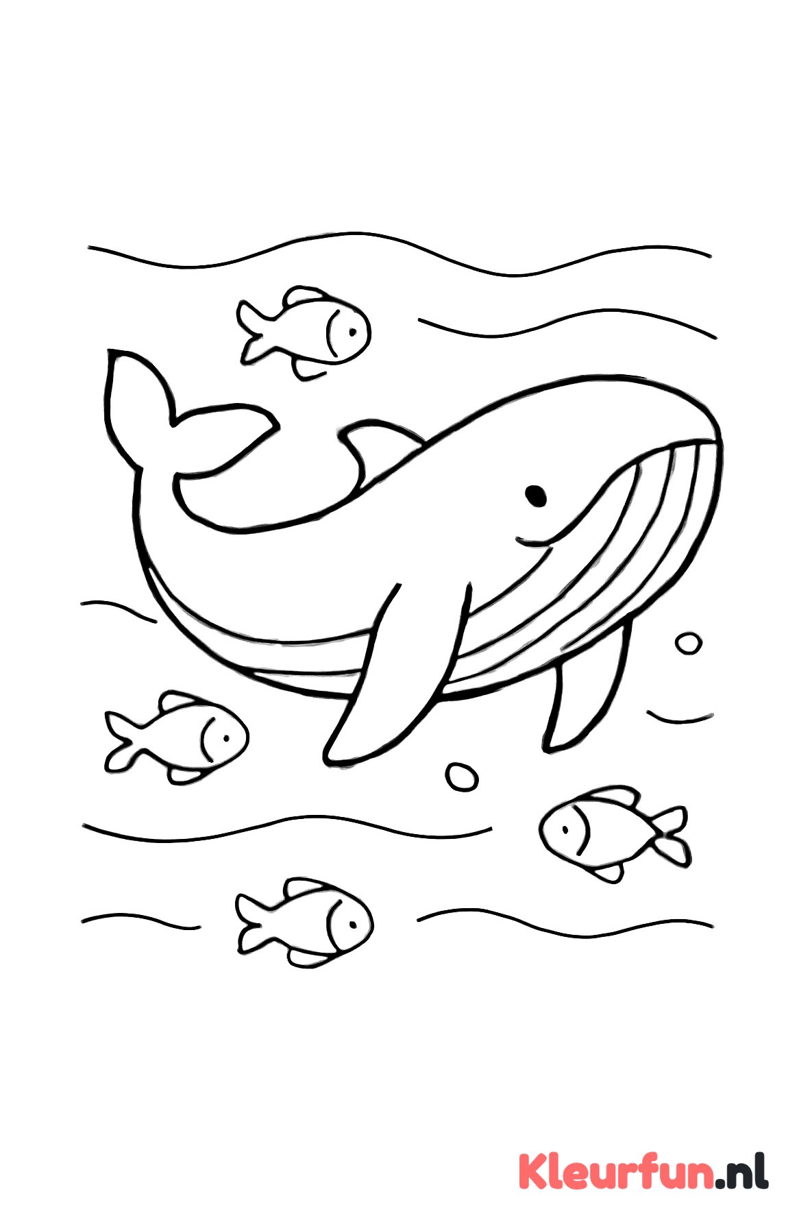 Grote walvis in de oceaan