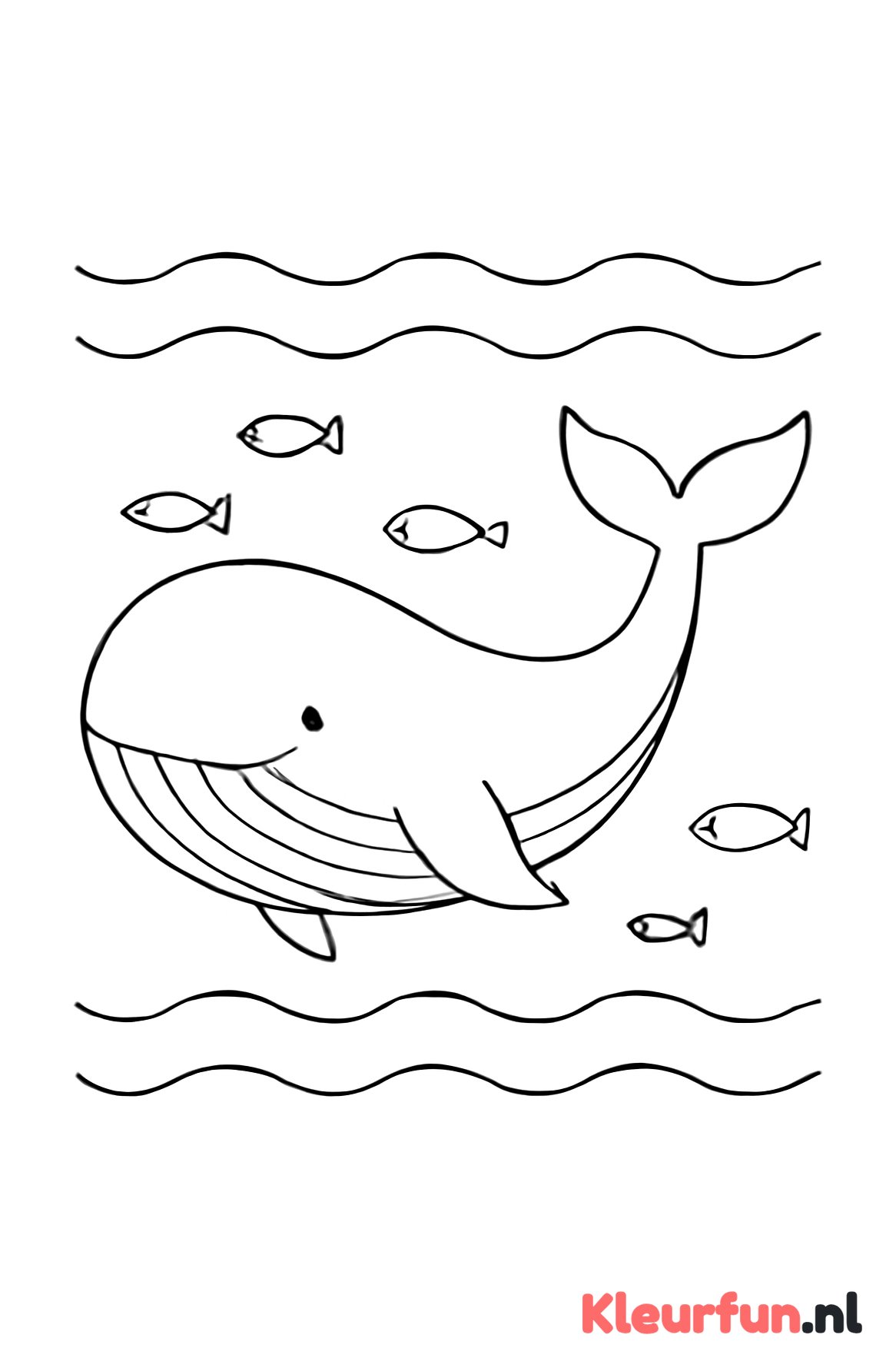 Grote walvis in de zee