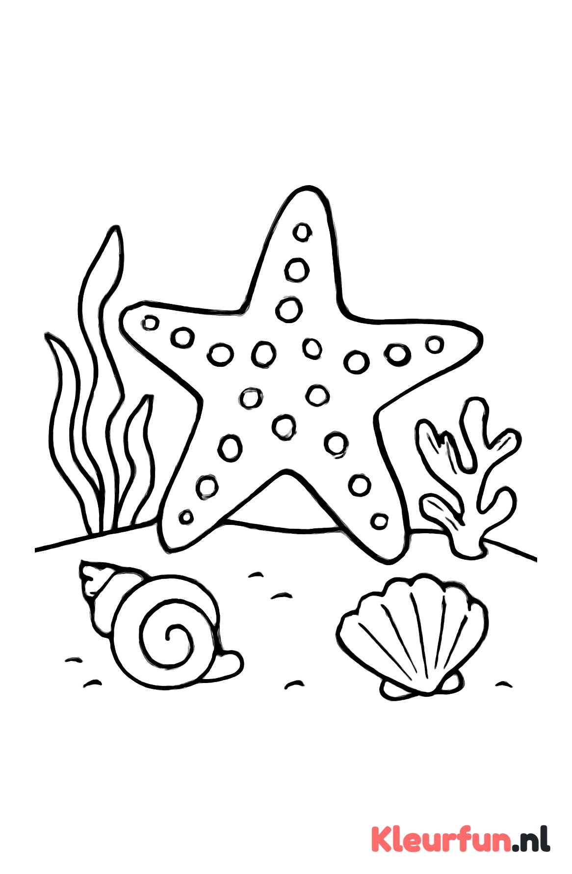 Grote zeester met schelpen