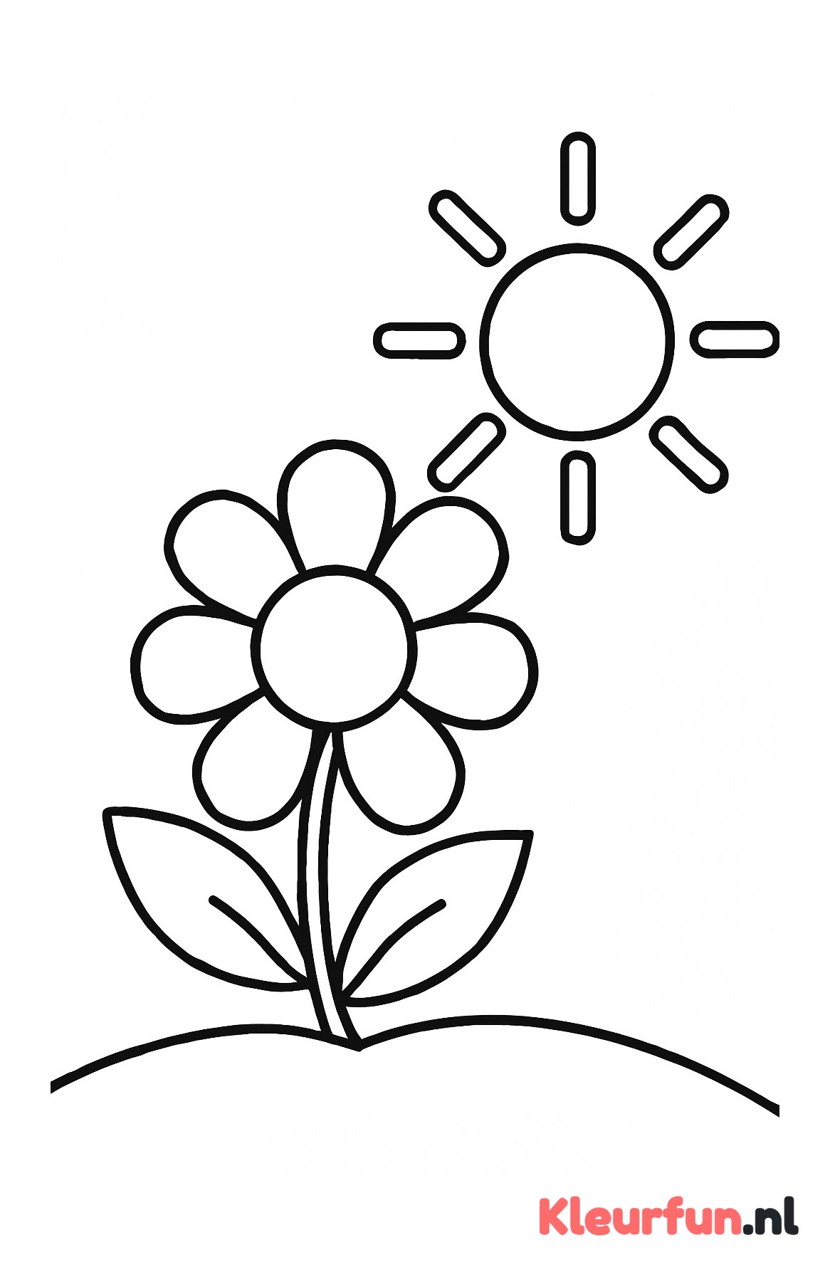 Grote zomerbloem
