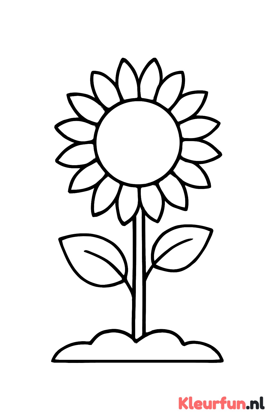 Grote Zonnebloem