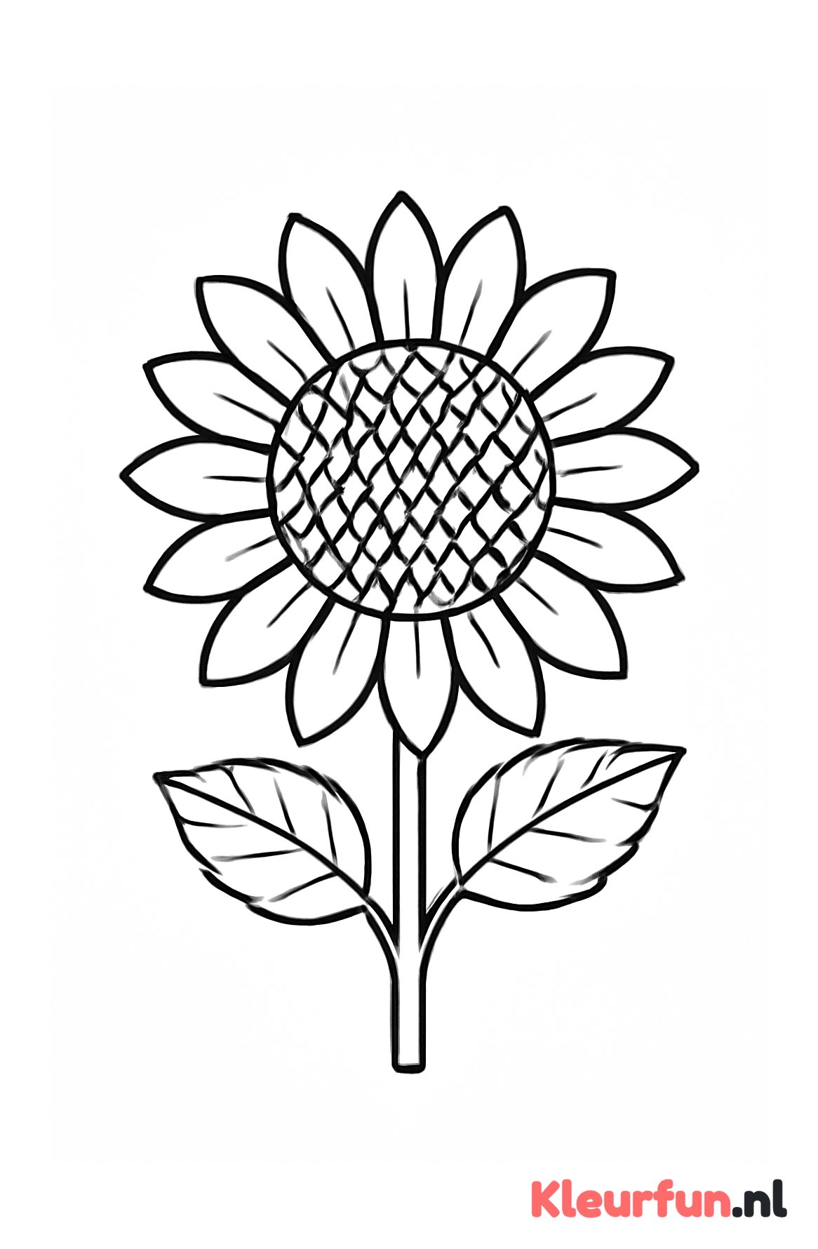 Grote zonnebloem met dikke lijnen