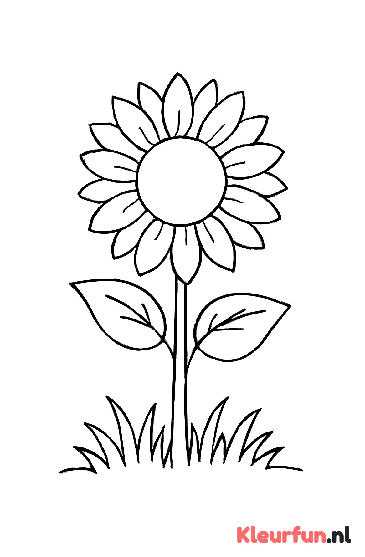 Grote zonnebloem met gras