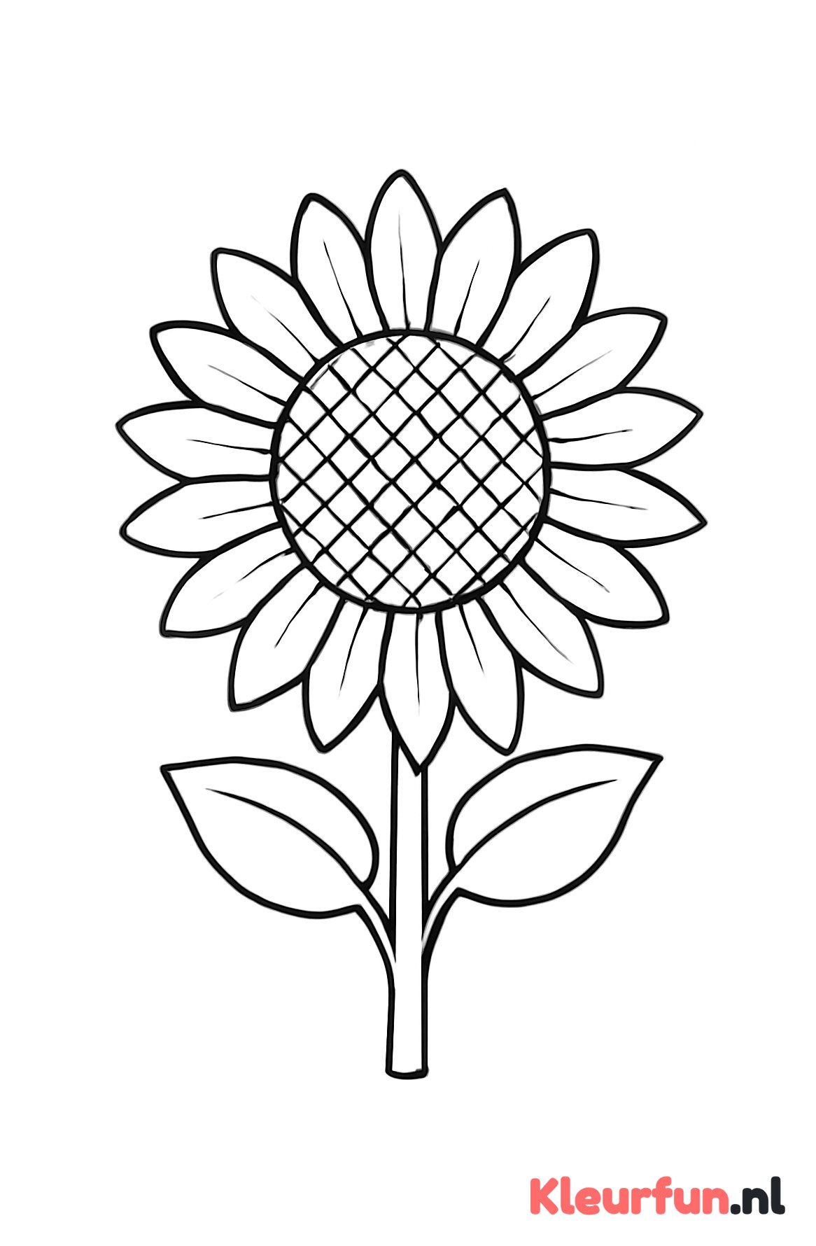 Grote zonnebloem