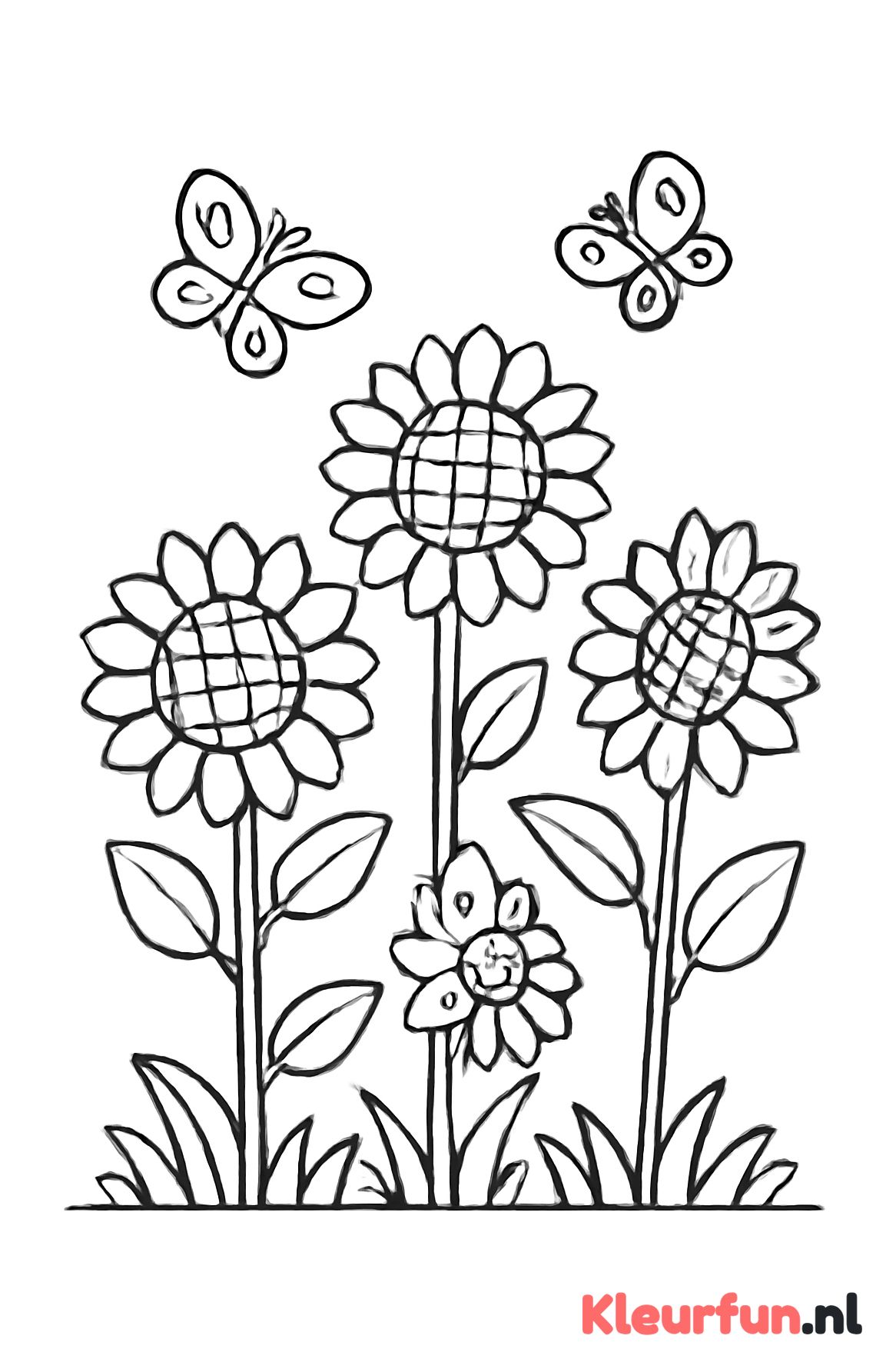 Grote zonnebloemen met vlinders