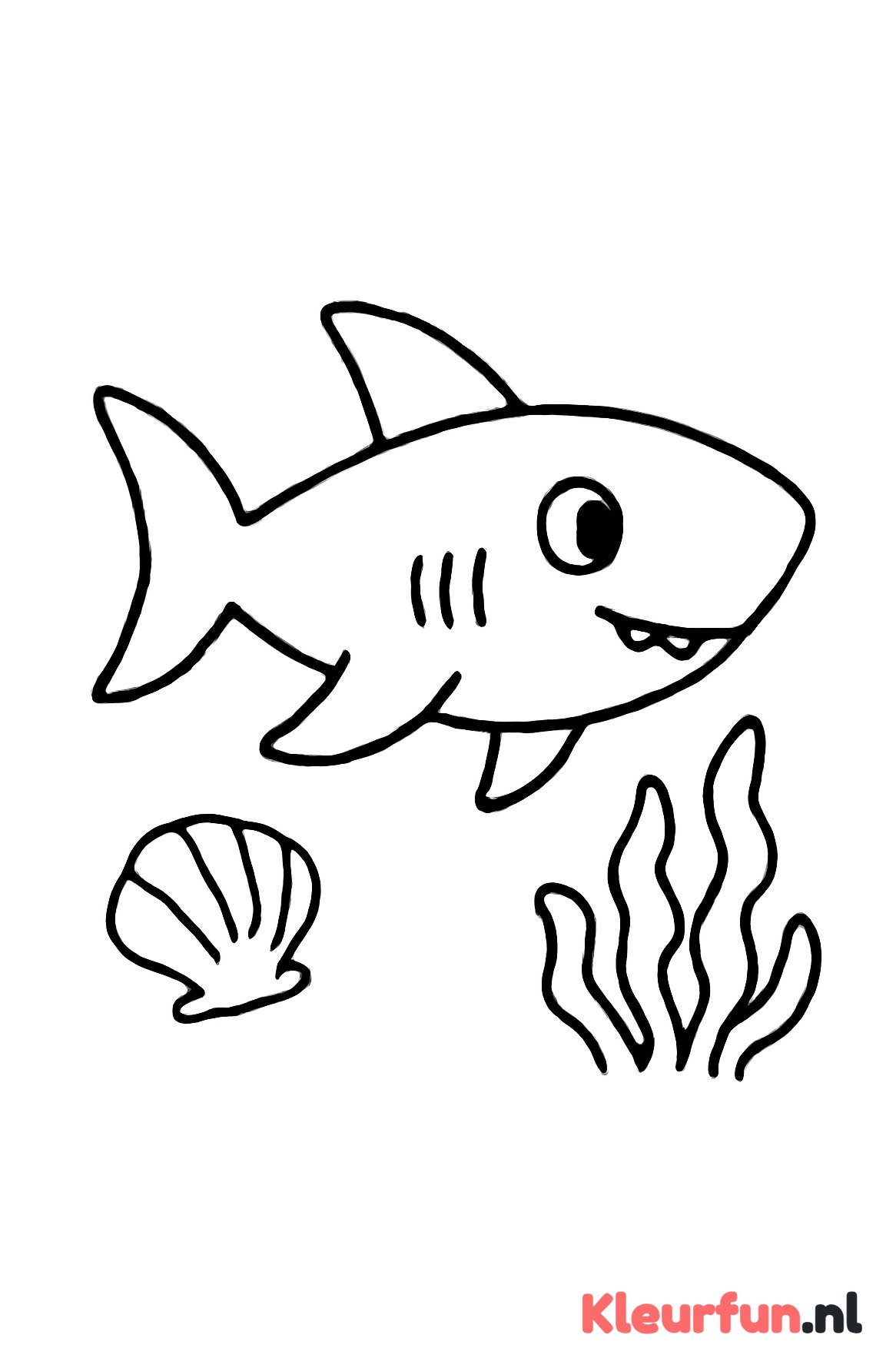 Haai bij schelp en zeewier