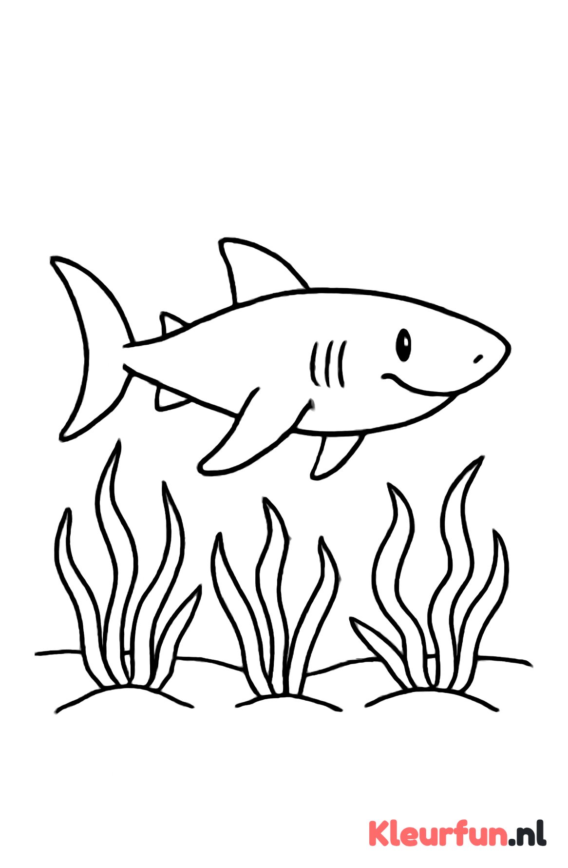 Haai bij zeegrasveld