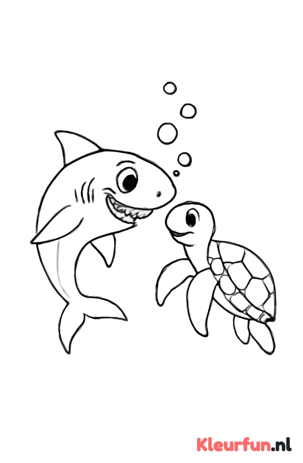 Haai en zeeschildpad