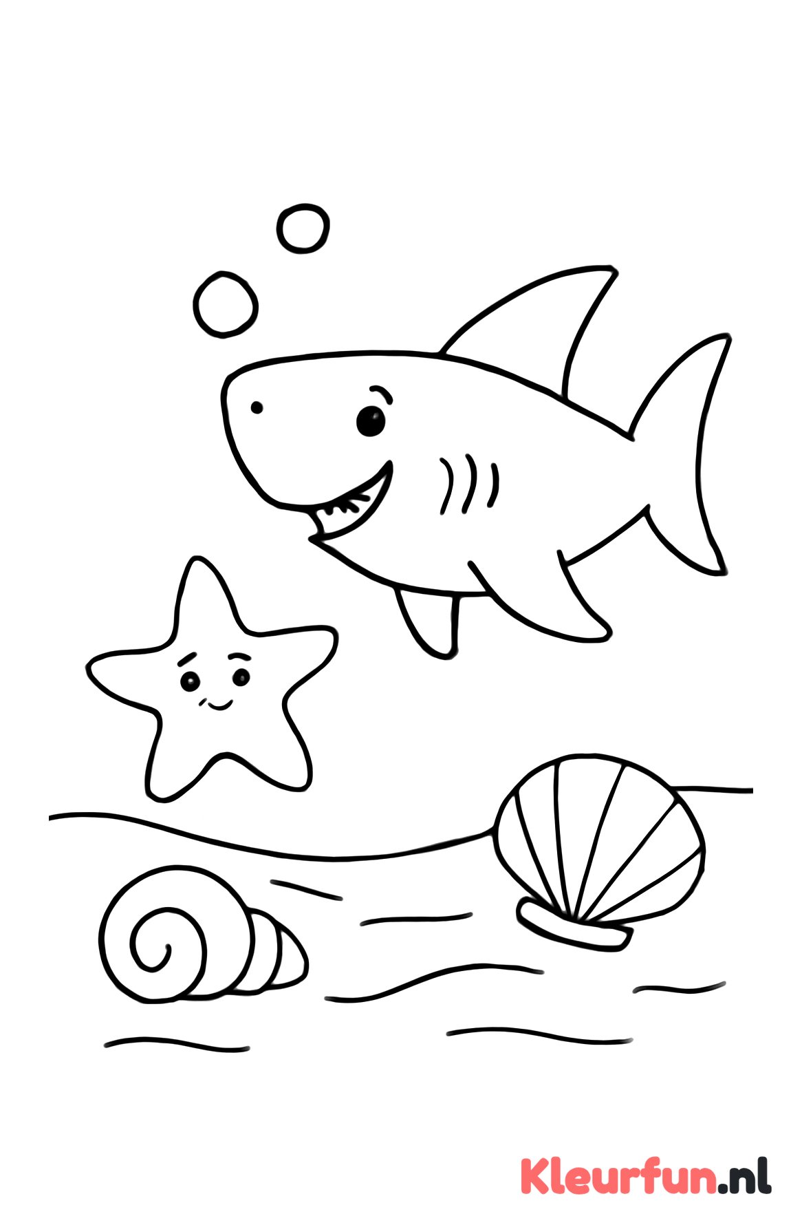 Haai met zeester en schelpen