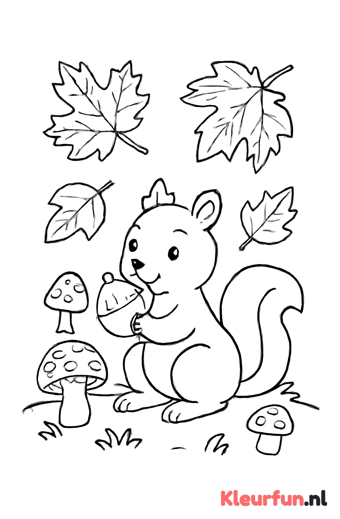 Herfst met eekhoorn en vallende bladeren