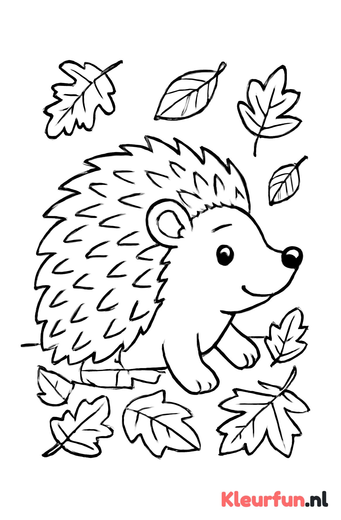 Egel tussen herfstbladeren