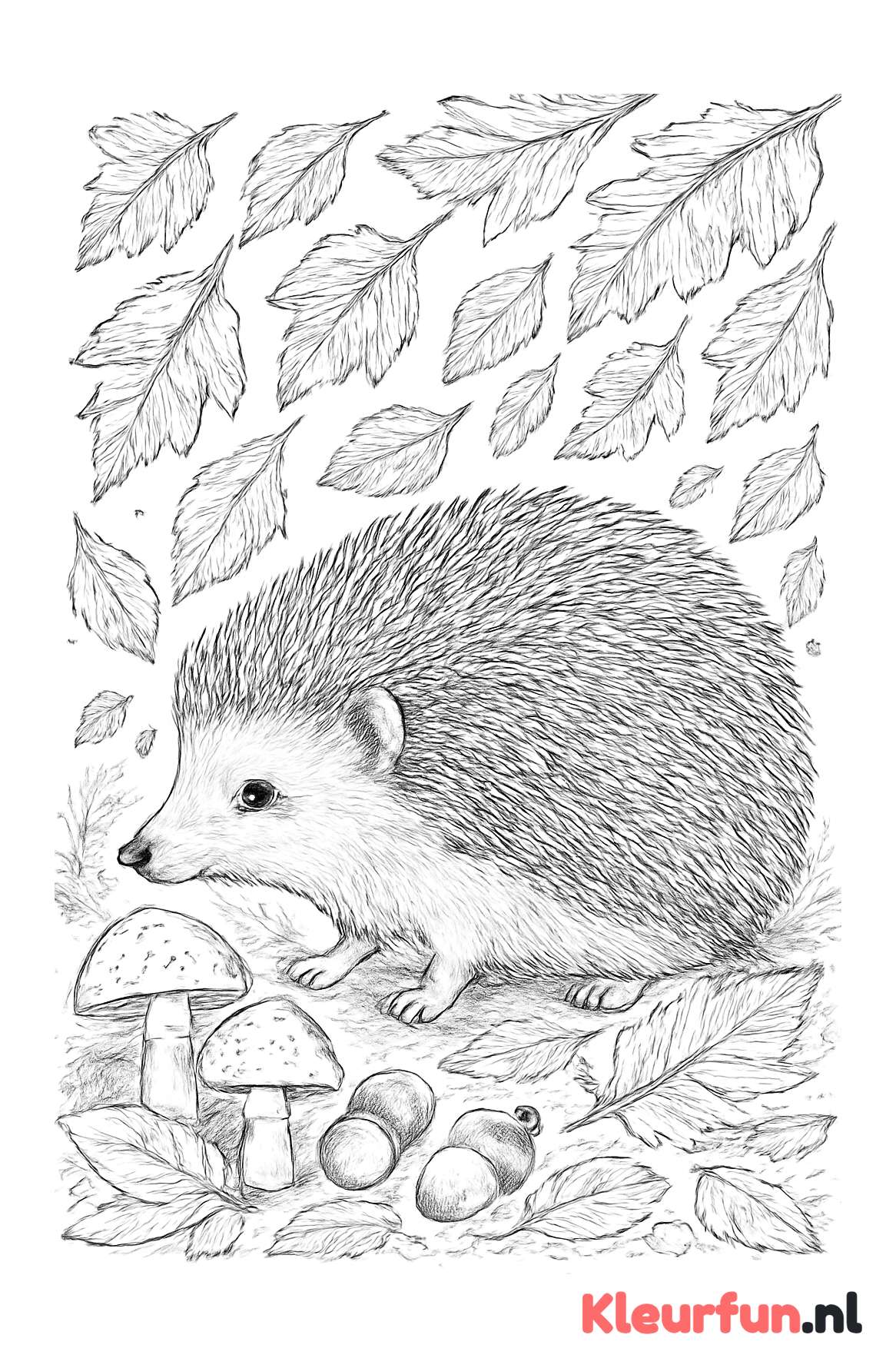 Egel in herfstbos