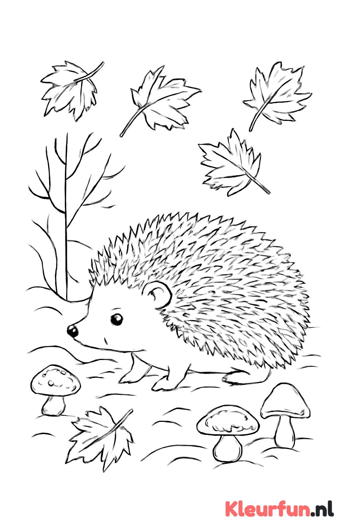 Egel in het herfstbos