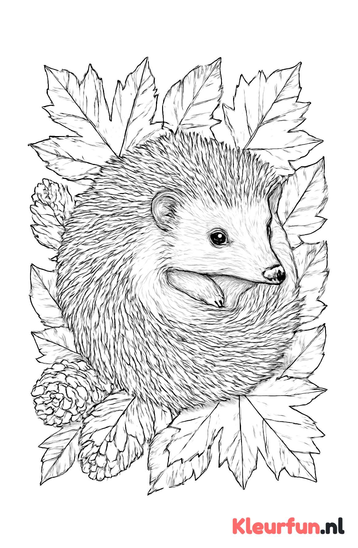 Egel oprollen in herfstbladeren