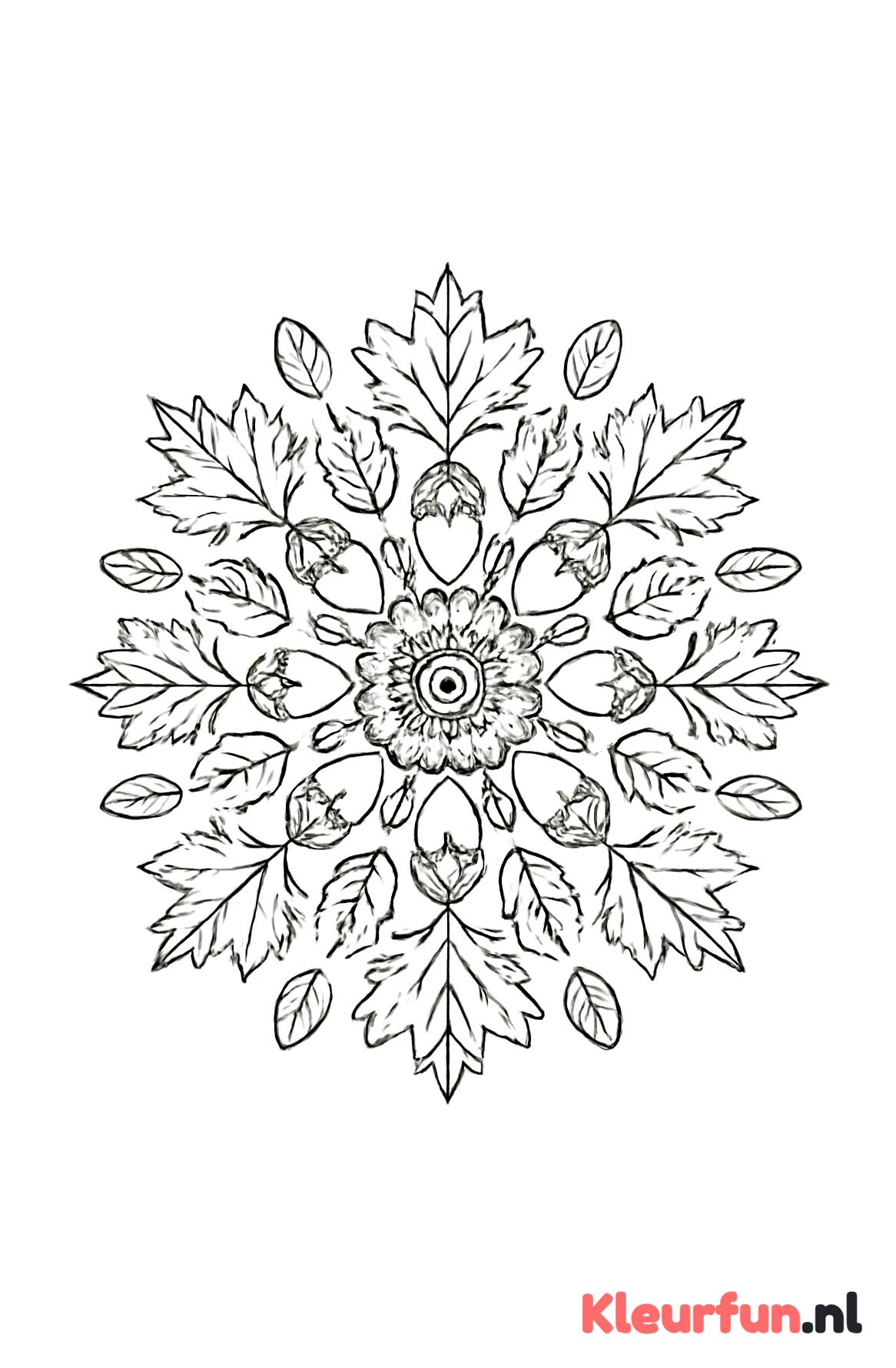 Herfst mandala met bladeren en eikels