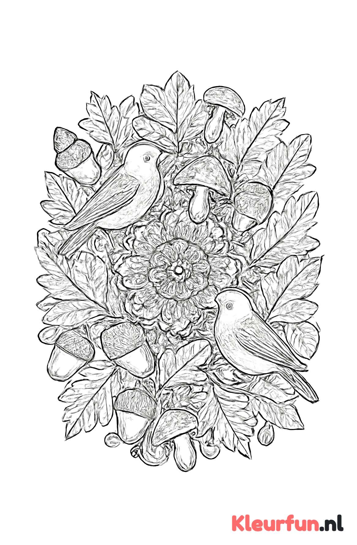 Herfst mandala met eikels en bladeren