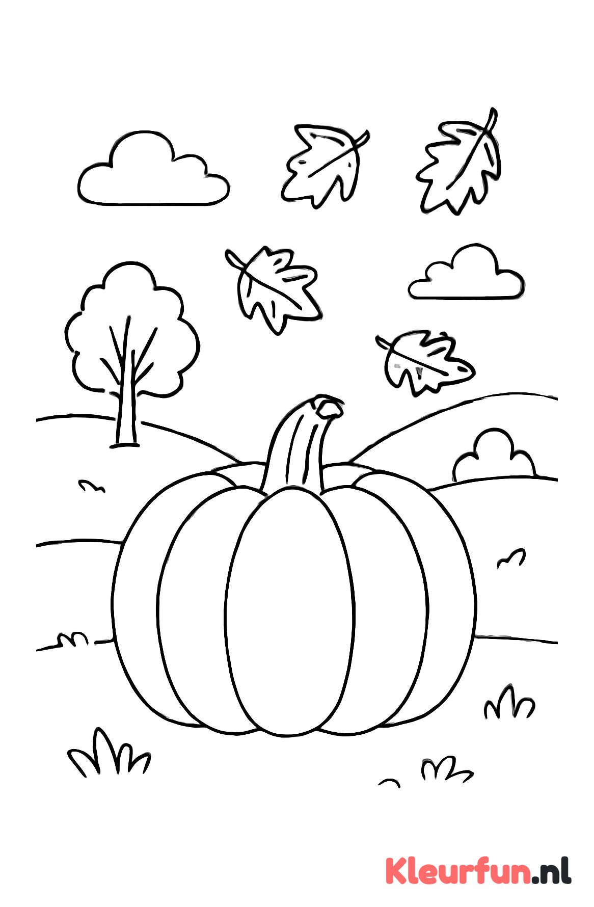 Pompoen in het herfstbos