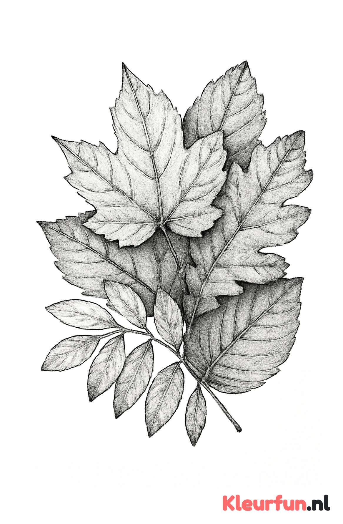 Artistieke herfstbladeren compositie