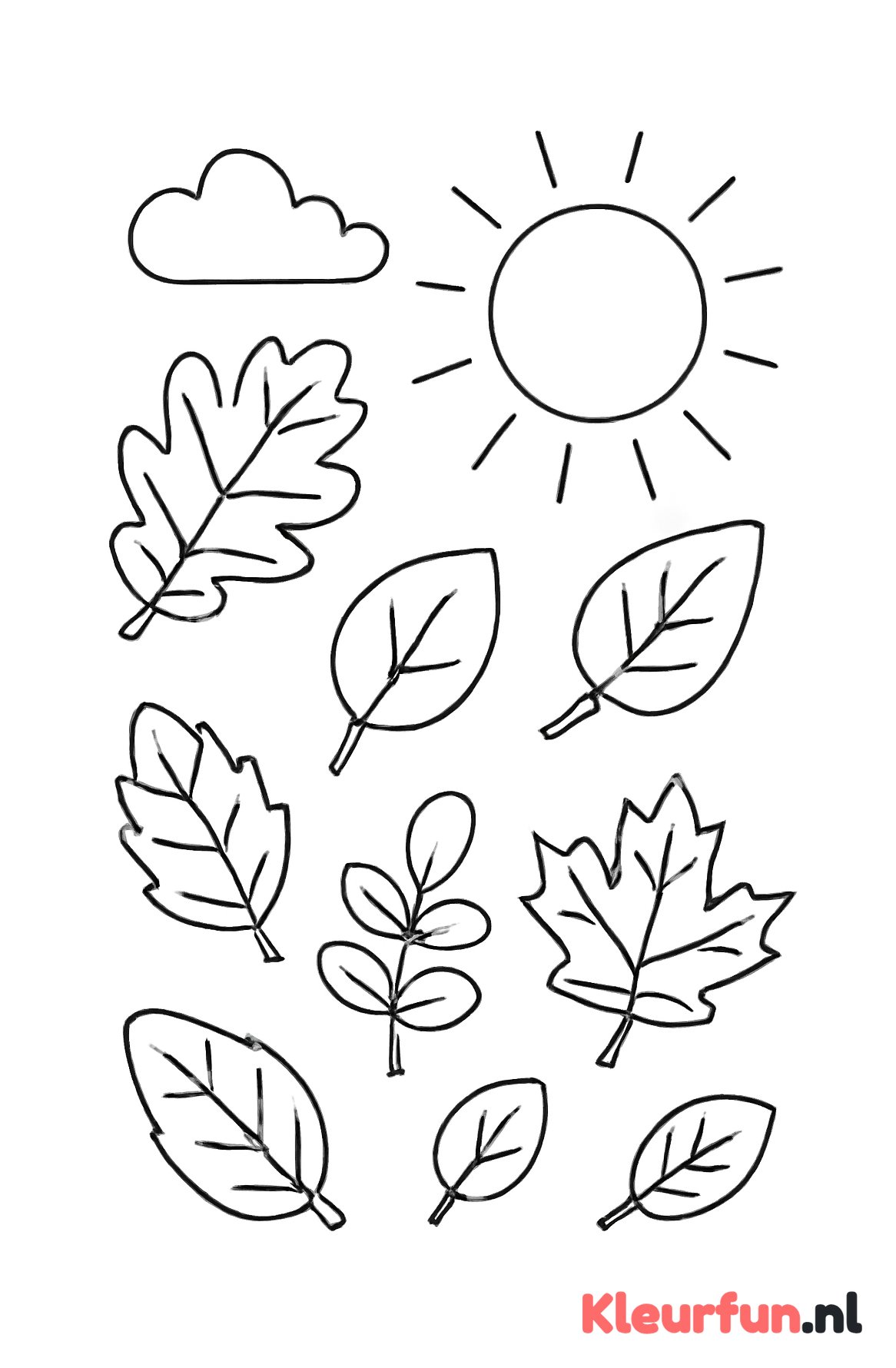 Herfstbladeren met zon en wolken